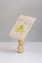 Carica l&#39;immagine nel visualizzatore di Gallery, Ondo - Charcoal &amp; Yuja Bubble Maschera Pong-pong
